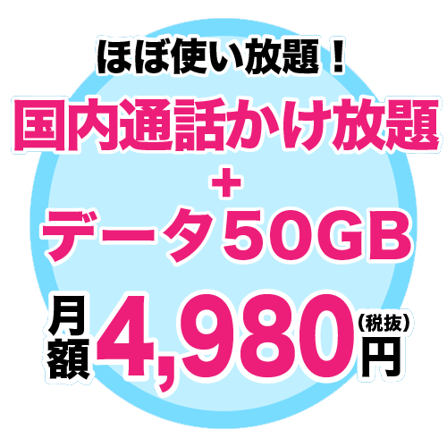通話50GBプラン