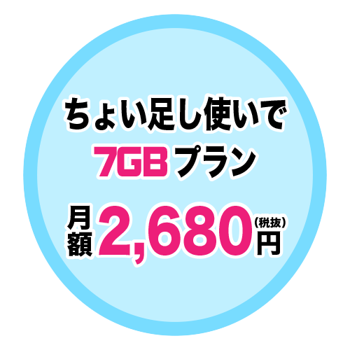 データ5GBプラン