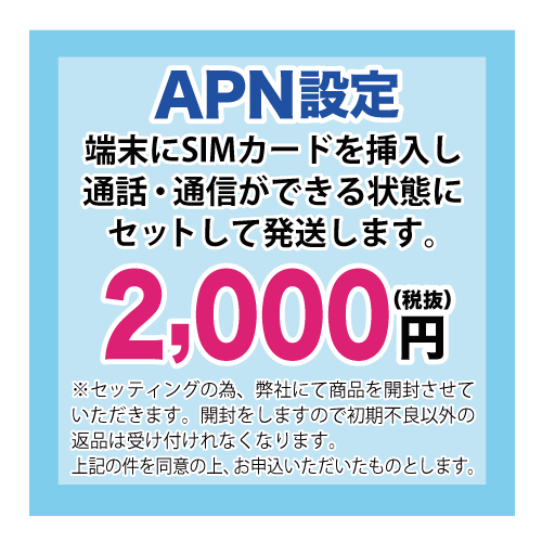 初期設定オプションあり